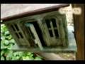 videos de [South Korea Gyeonggi-do] Eunice's Garden (유니스의 정원)