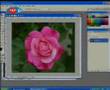 �ZGE MARD�   B�L���M R�ZGARI PROGRAMI