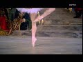danza classica don quixote varizione by nurejev
