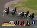 Somebeachsomewhere - Meadowlands Pace Elim Somebeachsomewhere - Meadowlands Pace Elim