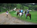 Campeao do rally Sertoes à cavalo, pelo menos nao leva tombo