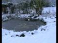 videos de Neuschnee