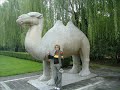 Pegasus Organised tour in China - part 2