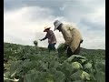 Thainess, Phetchabun, Thailand
