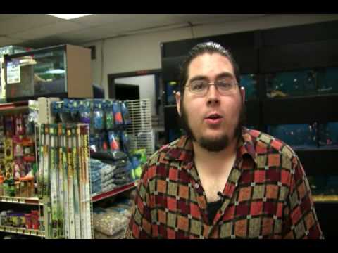 how to properly feed a ball python