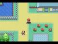 Bill's Garden (Pokemon FireRed)