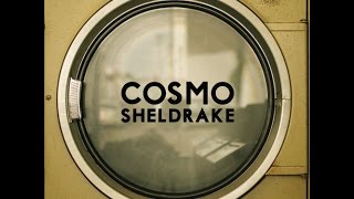 Cosmo Sheldrake - The Moss video