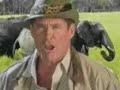 david hasselhoff's awesome music video.