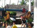 show de hula