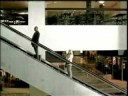 Democrats on an Escalator