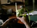 How to anyam a ketupat 2