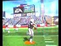 Re: The Immaculate Reception 2