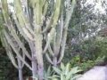 videos de villa for sale in sicily frontline the beach house for sale in sicily sea ragusa ispica portopalo