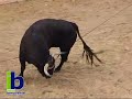 Las dos salidas de Manzanero Las dos salidas de Manzanero