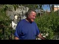 Growing Vegetables in Fridges