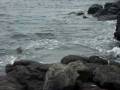 Omer Galapagos