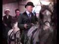 Carriage Dogs