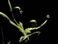 videos de il meraviglioso Corpo Umano the wonderful Human Body