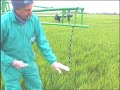 spraying efficiency
