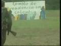 COLOMBIA OEA