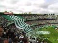 Entrada do Verd�o em campo..