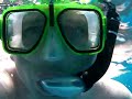 Red Sea Snorkeling