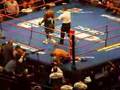 Roman Karmazin-Alex Bunema boxing