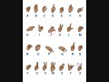 Asl Fingerspelling Asl Fingerspelling
