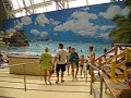 Tropical Islands