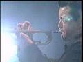 TERUMASA HINO STARDUST