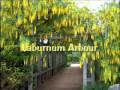 Historic Gardens: A Virtual Tour