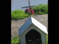 videos de pruiz.wmv