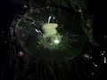 Oobleck Cosmic Oobleck Cosmic