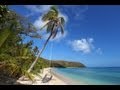 (Nature Relaxation Video) Hammock in Paradise ...