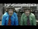 Monkey Condoms