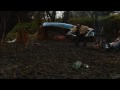 zila trailer