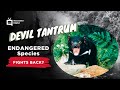 Devils Attack Camera