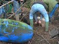 Scackleton Ratting