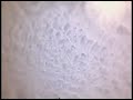 Finger Lakes time lapse Finger Lakes time lapse