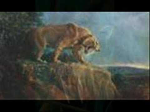 Smilodon