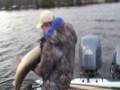 Big Muskie teaser trailer