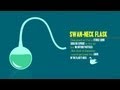 3 World-Changing Biology Experiments