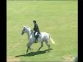 Ulanda 1.40 CSI*** Vimeiro 07/2008