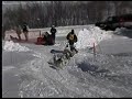 \"Sled Dog Crash\" \"Sled Dog Crash\"