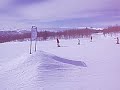 Skidvurpa