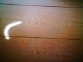ULO (Unidentified Lighting Object)