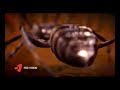 3D Showreel
