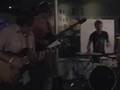 antarctic live
