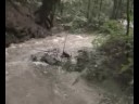 Swollen Sebastian's Creek