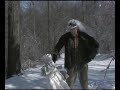 Ice Fairy